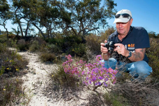 Seasonal Experiences Around Cataby: Wildflowers, Wildlife & Coastal Adventures