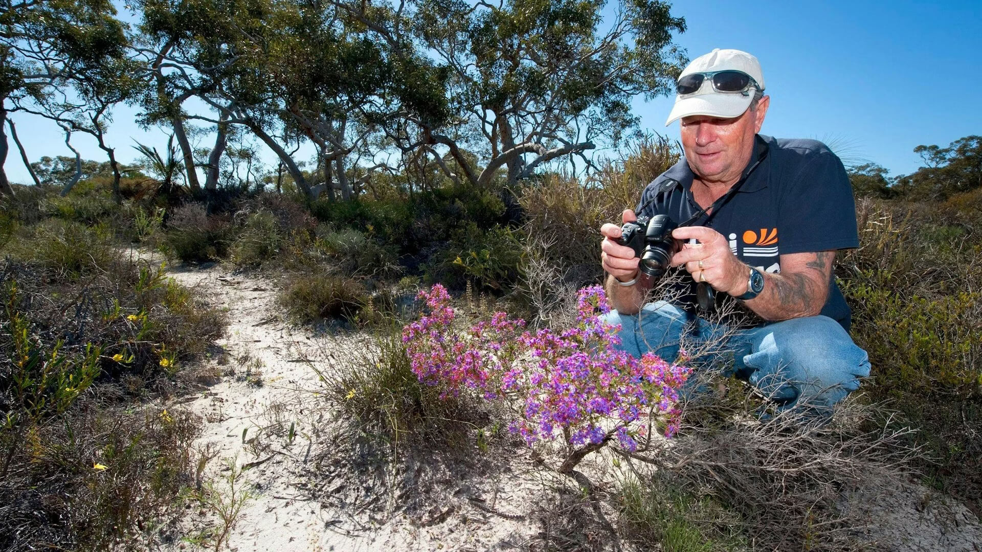 Seasonal Experiences Around Cataby: Wildflowers, Wildlife & Coastal Adventures