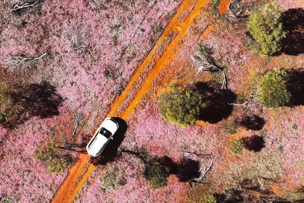 Top Things to See and Do Near Cataby Hotel